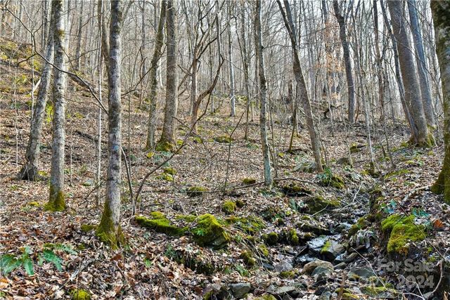 158 Sugar Cove Road, Weaverville, NC 28787