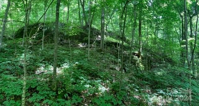 158 Sugar Cove Road, Weaverville, NC 28787