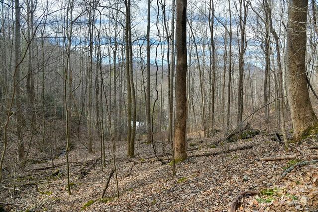 158 Sugar Cove Road, Weaverville, NC 28787