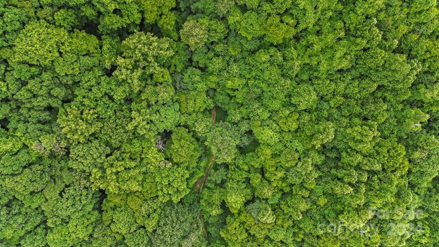 158 Sugar Cove Road, Weaverville, NC 28787