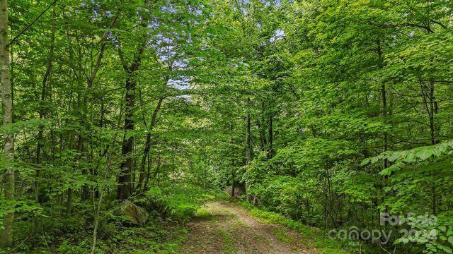 158 Sugar Cove Road, Weaverville, NC 28787