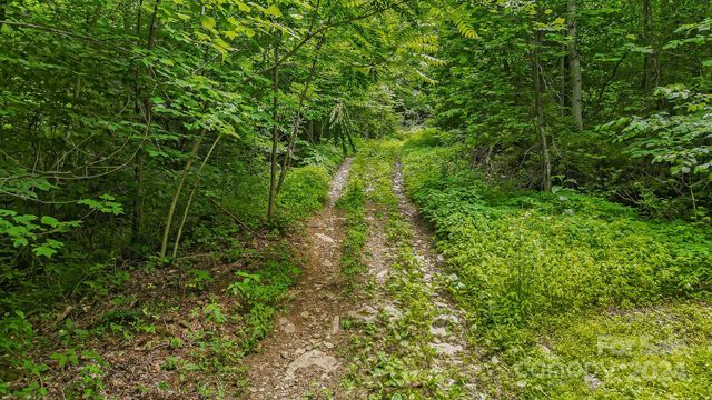 158 Sugar Cove Road, Weaverville, NC 28787