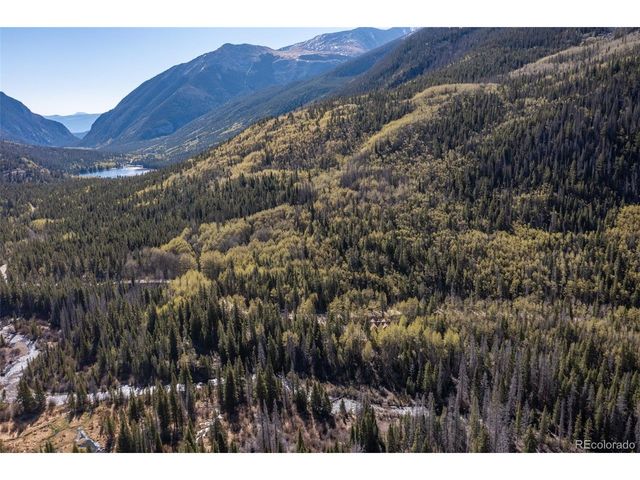 24500 County Road 162, Nathrop, CO 81236