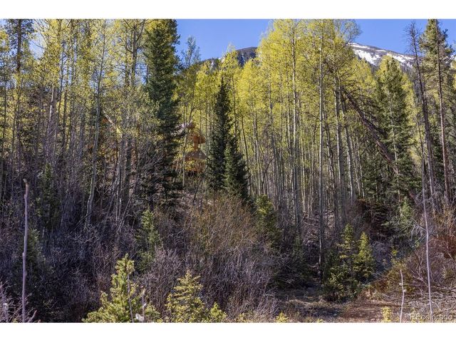 24500 County Road 162, Nathrop, CO 81236