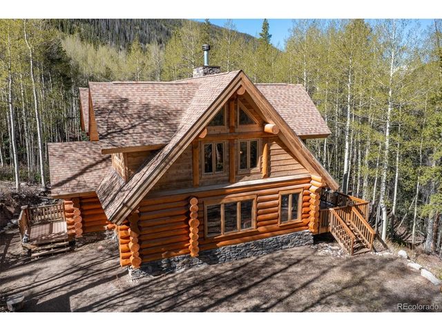 24500 County Road 162, Nathrop, CO 81236