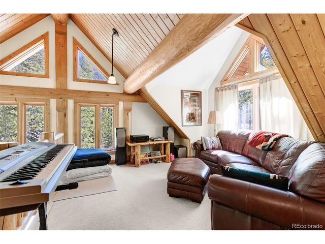 24500 County Road 162, Nathrop, CO 81236