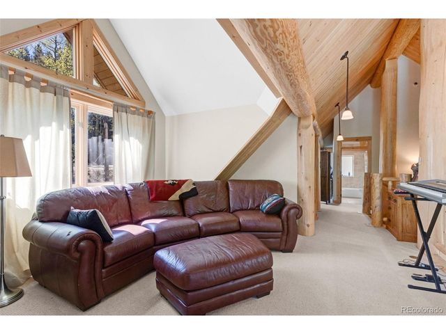 24500 County Road 162, Nathrop, CO 81236