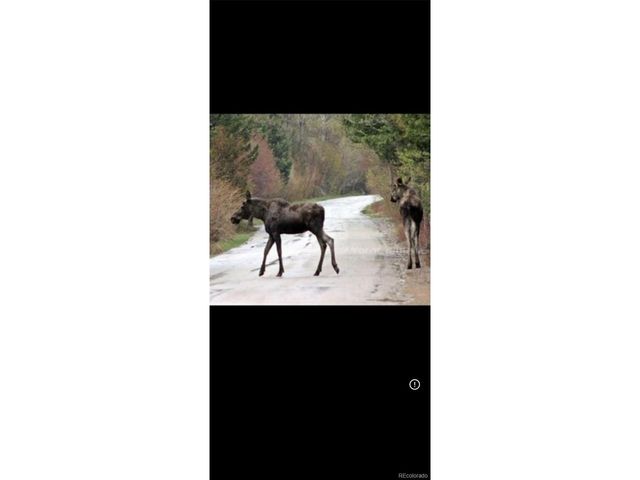24500 County Road 162, Nathrop, CO 81236