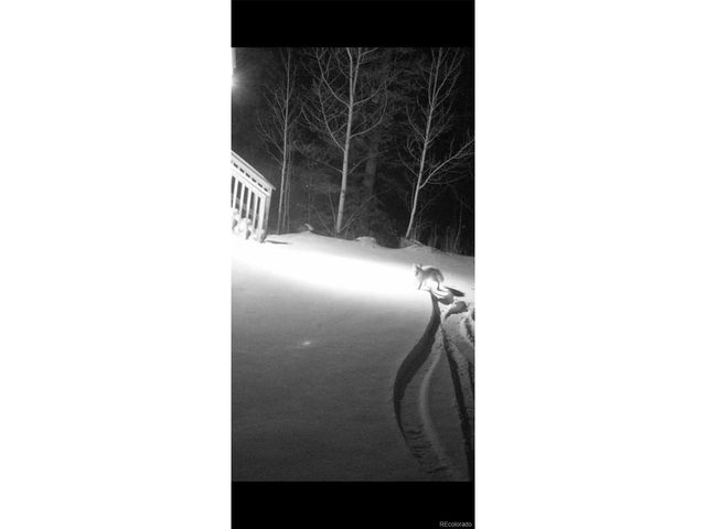 24500 County Road 162, Nathrop, CO 81236