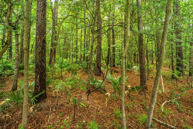3676 Bagley Drive, Mount Pleasant, SC 29466