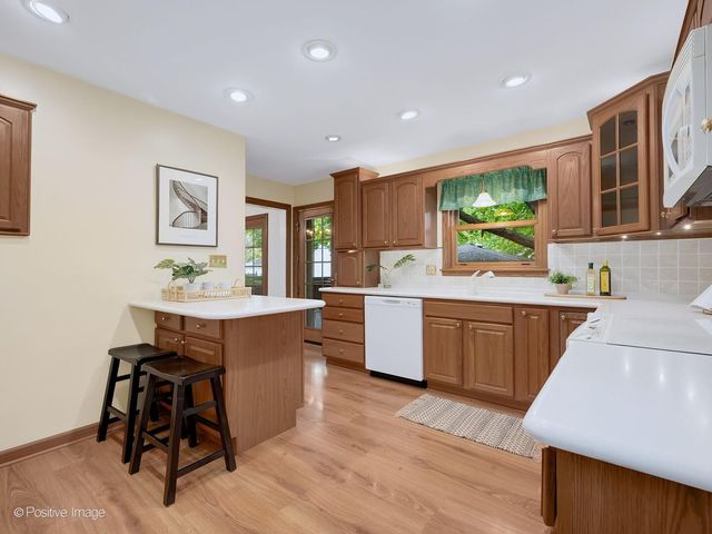 613 N Spring Avenue, La Grange Park, IL 60526