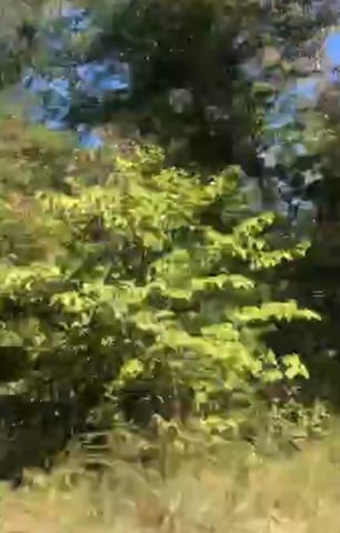 Lot # 31 Buck Creek Circle, Somerset, KY 42501