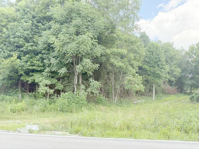 0 Andy Thomas Road, Sale Creek, TN 37373