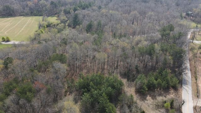 0 Andy Thomas Road, Sale Creek, TN 37373