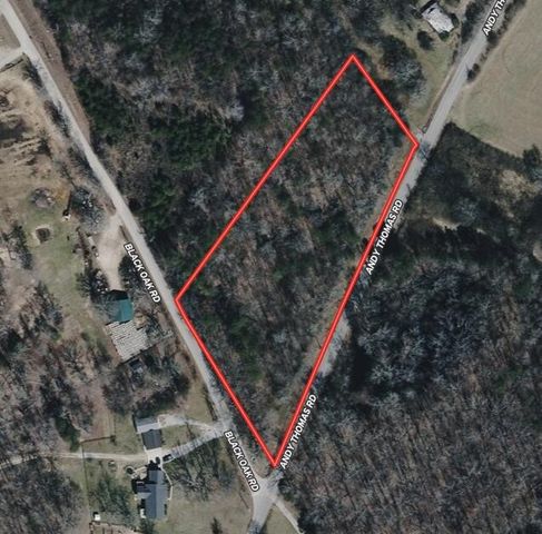 0 Andy Thomas Road, Sale Creek, TN 37373