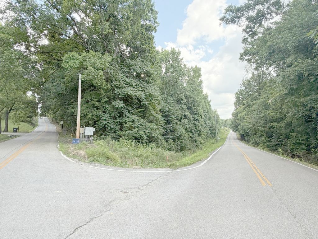 0 Andy Thomas Road, Sale Creek, TN 37373