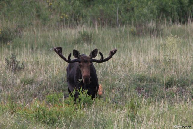 13 Paradise Valley Parkway, Black Hawk, CO 80422