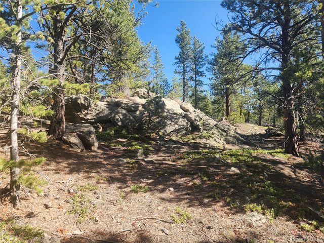 13 Paradise Valley Parkway, Black Hawk, CO 80422