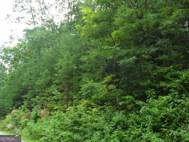 0 Early Red Pippin 1818, Clarkesville, GA 30523