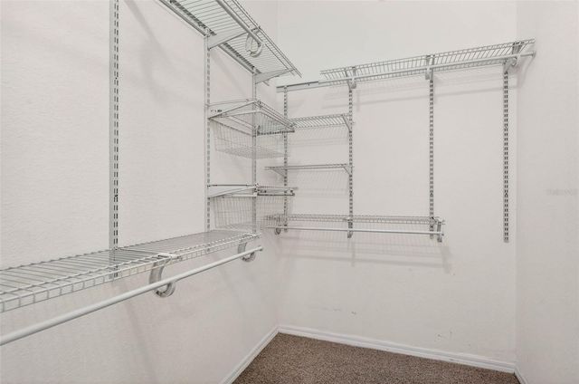 9739 MEADOW FIELD CIRCLE, Tampa, FL 33626