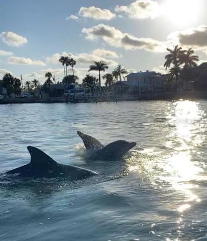 9739 MEADOW FIELD CIRCLE, Tampa, FL 33626