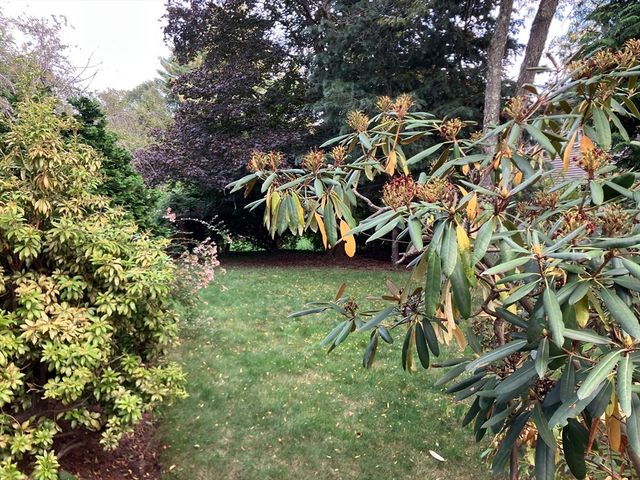 0 Glenoe Rd, Brookline, MA 02467