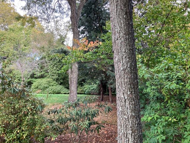 0 Glenoe Rd, Brookline, MA 02467