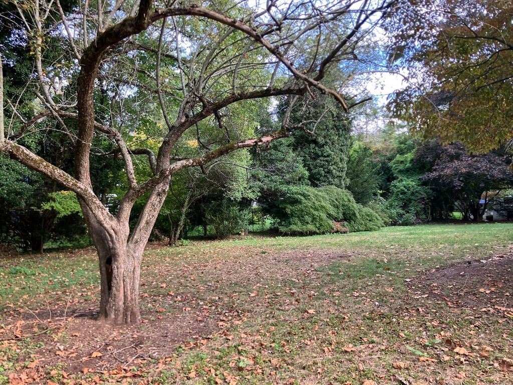 0 Glenoe Rd, Brookline, MA 02467