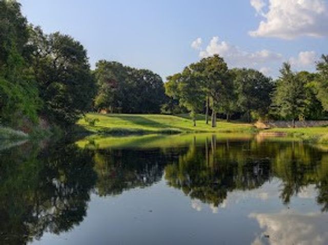 12131 Trailwood Drive, Whitney, TX 76692