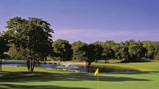 12131 Trailwood Drive, Whitney, TX 76692