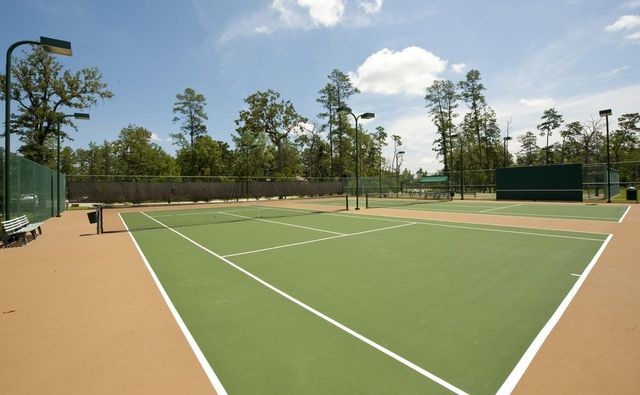 27402 W Balsam Fir, Spring, TX 77386