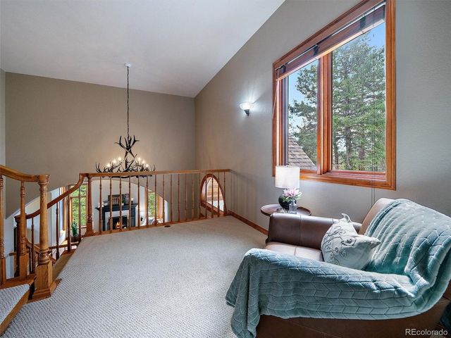13695 May Long Ct, Pine, CO 80470
