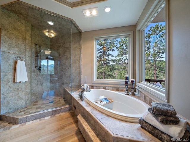 13695 May Long Ct, Pine, CO 80470