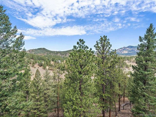 13695 May Long Ct, Pine, CO 80470