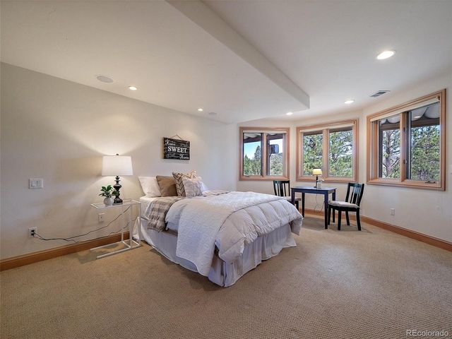13695 May Long Ct, Pine, CO 80470