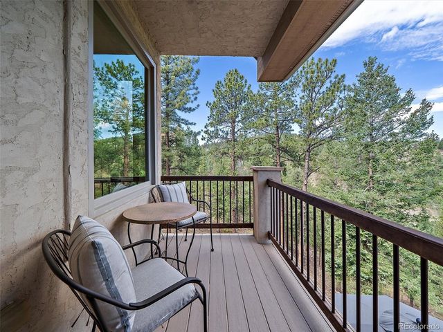 13695 May Long Ct, Pine, CO 80470