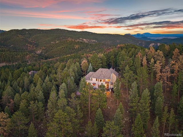 13695 May Long Ct, Pine, CO 80470