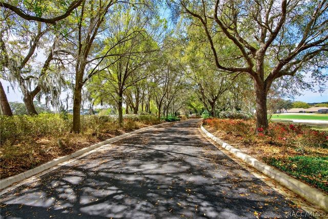 1105 W Pointe Vista Path 43, Hernando, FL 34442