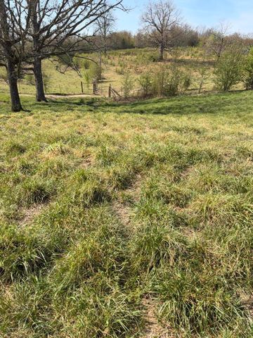 9931 State Route 17, West Plains, MO 65775