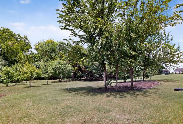 413 Charlie Joseph Drive, Van Alstyne, TX 75495