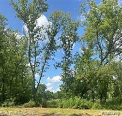 15451 Lakeview Park Drive, Fenton, MI 48423