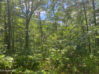 54 Magnolia Place, Sevierville, TN 37876