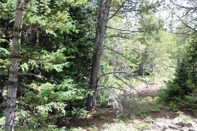 5285 Lucy Agnes, Black Hawk, CO 80422