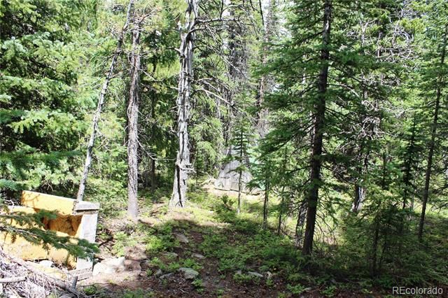 5285 Lucy Agnes, Black Hawk, CO 80422
