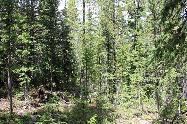 5285 Lucy Agnes, Black Hawk, CO 80422