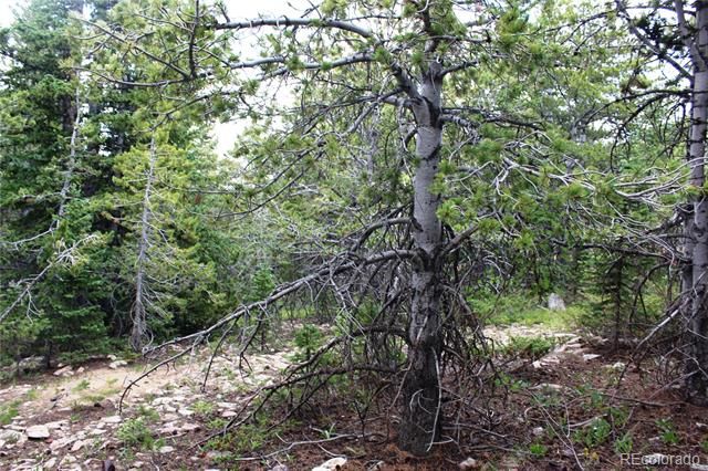 5285 Lucy Agnes, Black Hawk, CO 80422