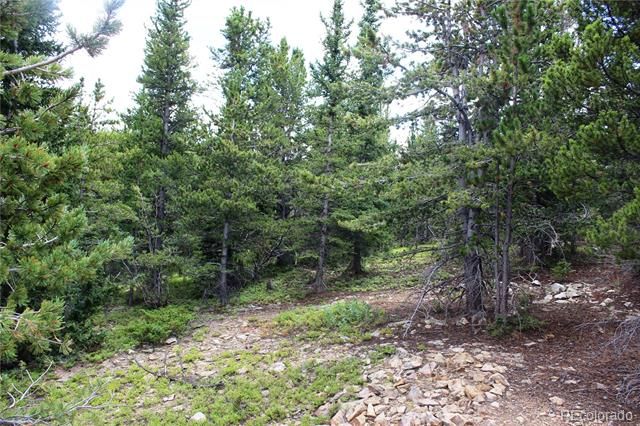 5285 Lucy Agnes, Black Hawk, CO 80422