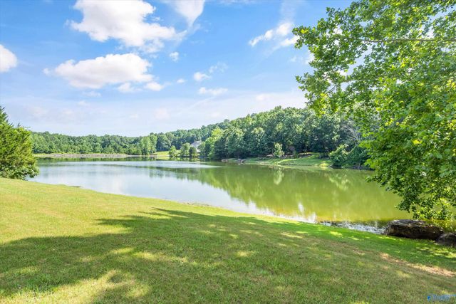1627 Lake Cove Drive SW, Decatur, AL 35603