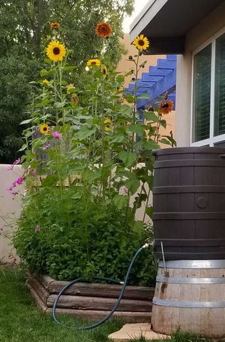 4313 Vuelta Colorada, Santa Fe, NM 87507