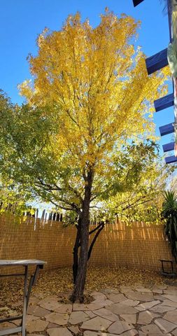 4313 Vuelta Colorada, Santa Fe, NM 87507